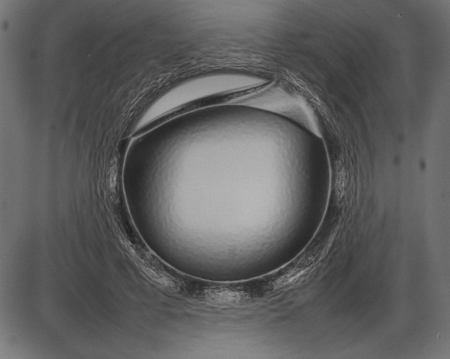 X0000086080593200704091303