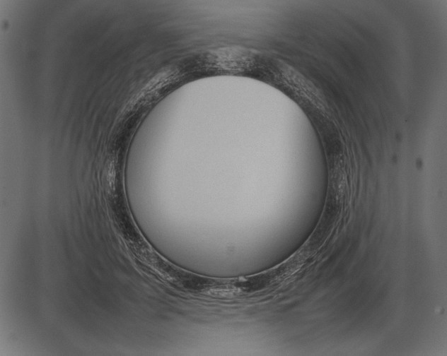 X0000086080595200704091303