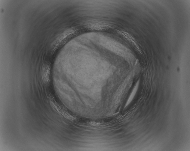 X0000086080596200704091303