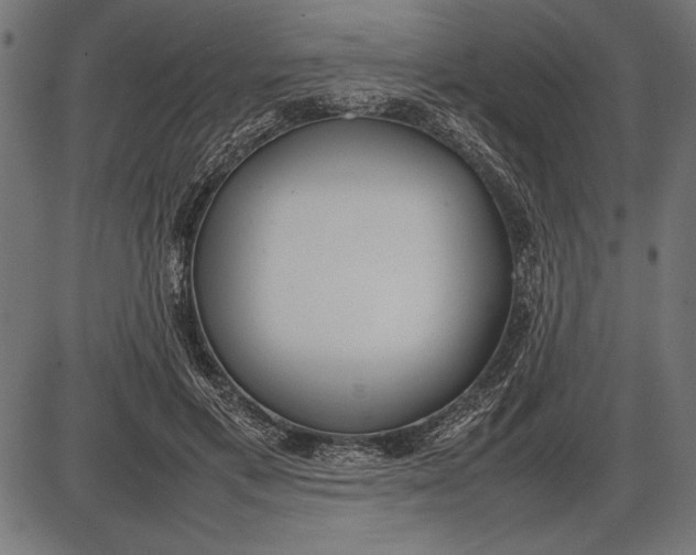 X0000086080597200704091303