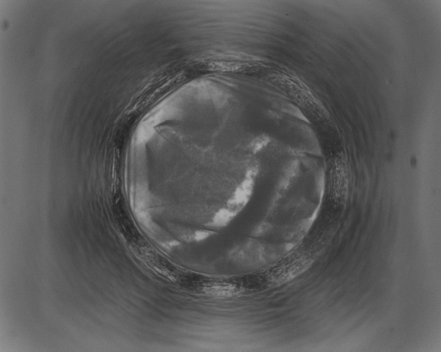 X0000086080598200704091303