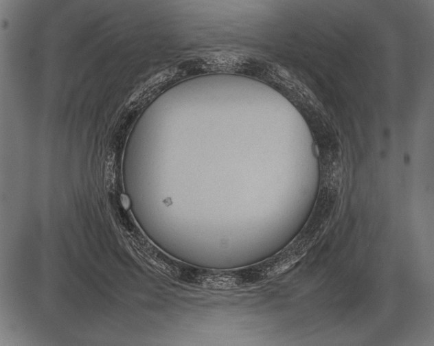 X0000086080599200704091303