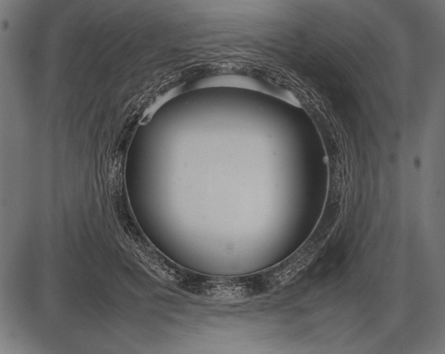 X0000086080601200704091303