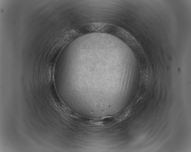 X0000086080602200704091303