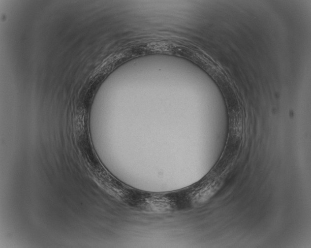 X0000086080603200704091303