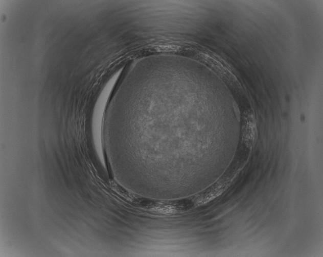 X0000086080604200704091303