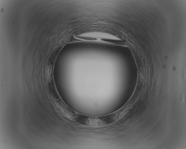 X0000086080605200704091303