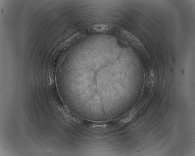 X0000086080606200704091303