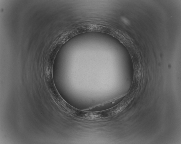 X0000086080607200704091303