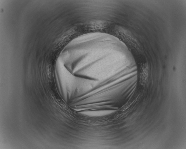 X0000086080608200704091303