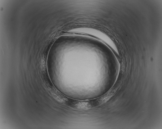 X0000086080609200704091303