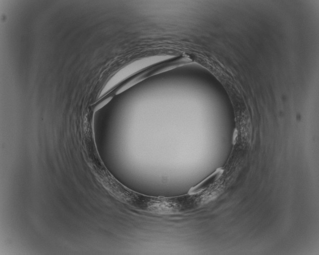 X0000086080611200704091303