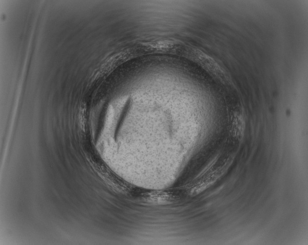 X0000086080612200704091303