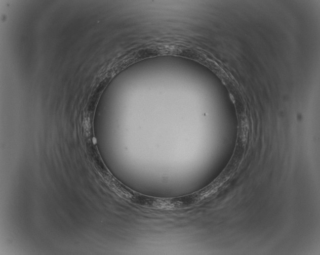 X0000086080613200704091303