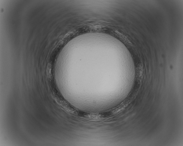 X0000086080615200704091303