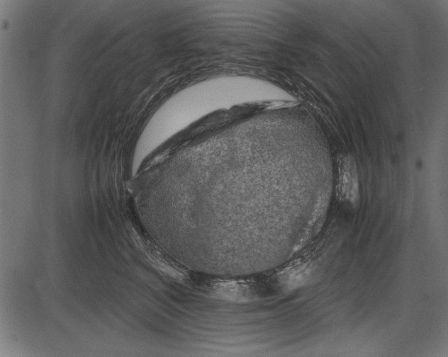 X0000086080616200704091303