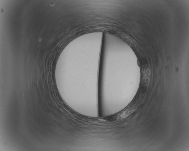 X0000086080617200704091303