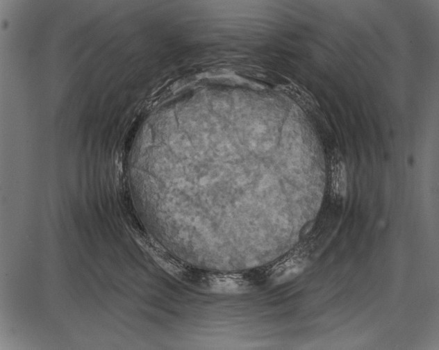 X0000086080618200704091303