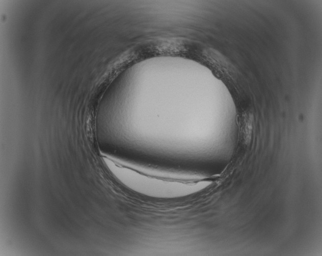 X0000086080619200704091302