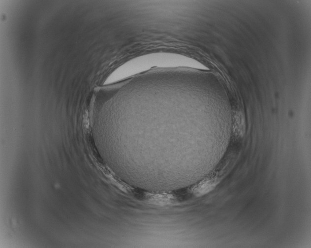 X0000086080621200704091302