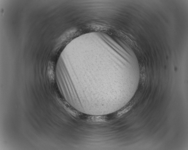 X0000086080622200704091302