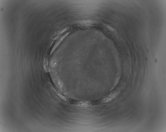 X0000086080624200704091302