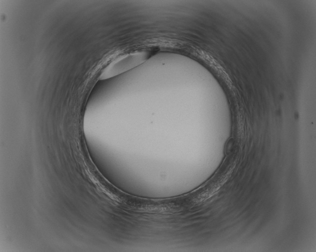 X0000086080625200704091302