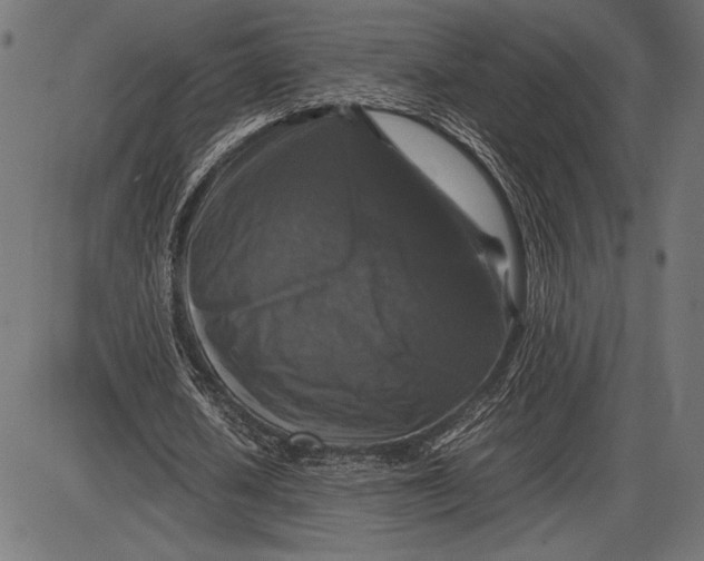 X0000086080626200704091302