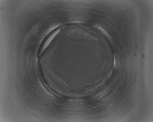 X0000086080627200704091302