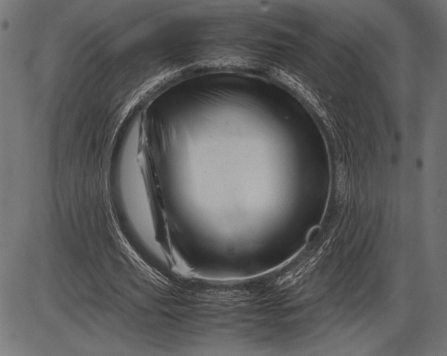 X0000086080629200704091302