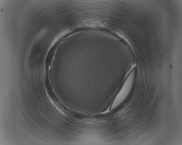 X0000086080630200704091302