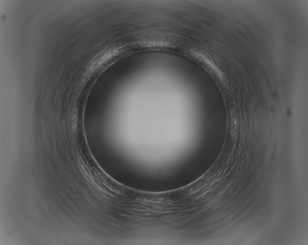 X0000086080631200704091302