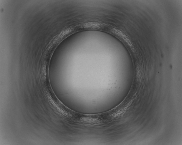 X0000086080633200704091302