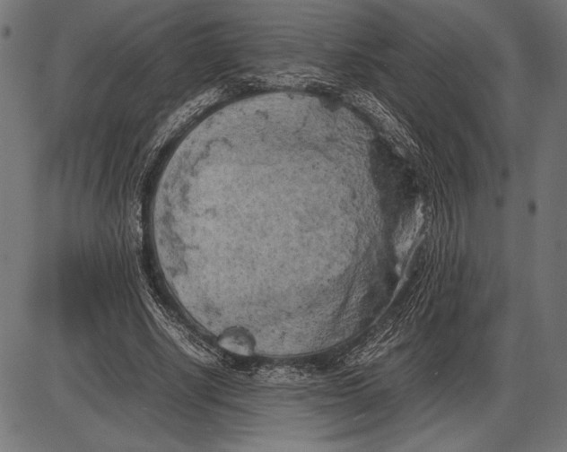 X0000086080634200704091302