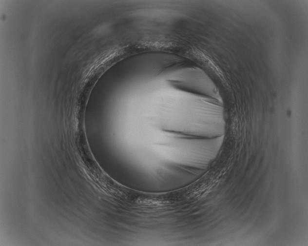 X0000086080635200704091302