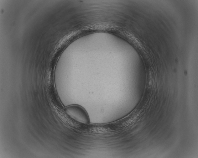 X0000086080636200704091302