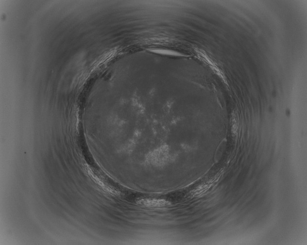 X0000086080637200704091302