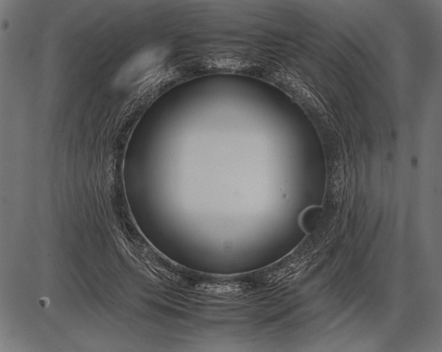 X0000086080639200704091302