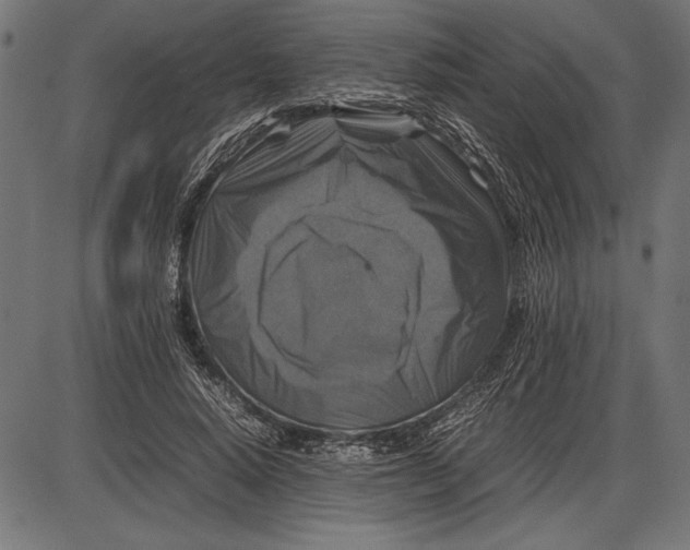 X0000086080640200704091302