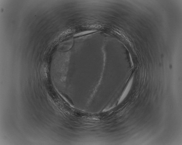 X0000086080643200704091302