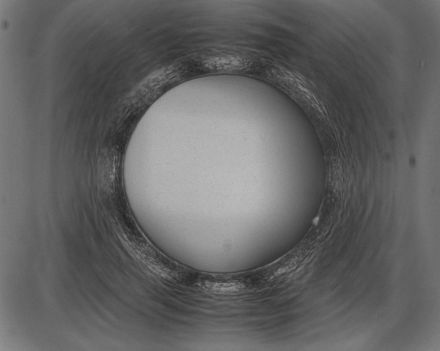 X0000086080645200704091302