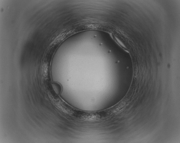 X0000086080646200704091302