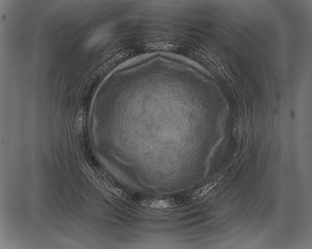 X0000086080647200704091302