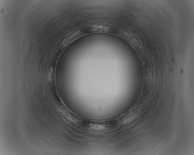 X0000086080649200704091302