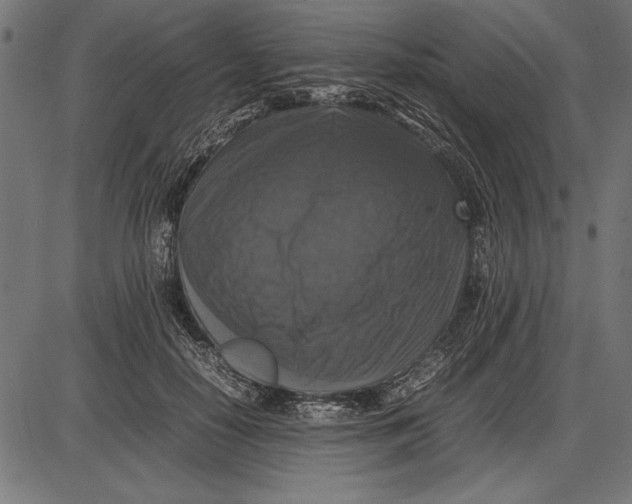 X0000086080650200704091302