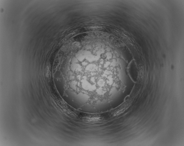 X0000086080651200704091302