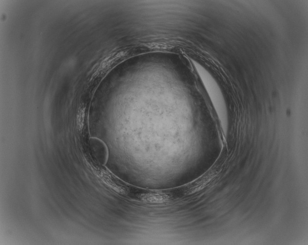 X0000086080652200704091302