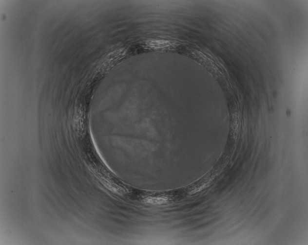 X0000086080653200704091302