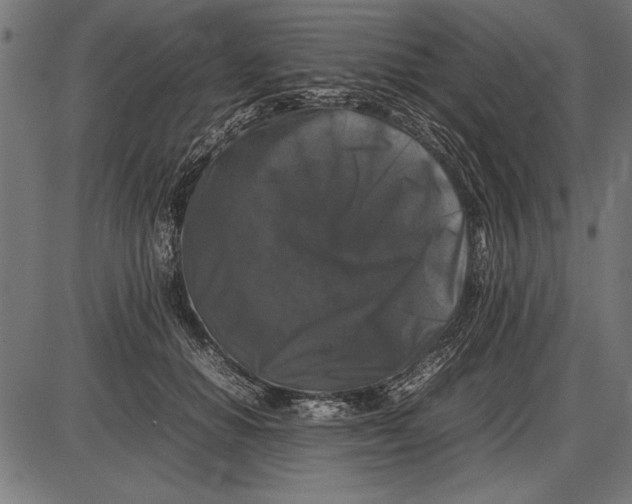 X0000086080654200704091302