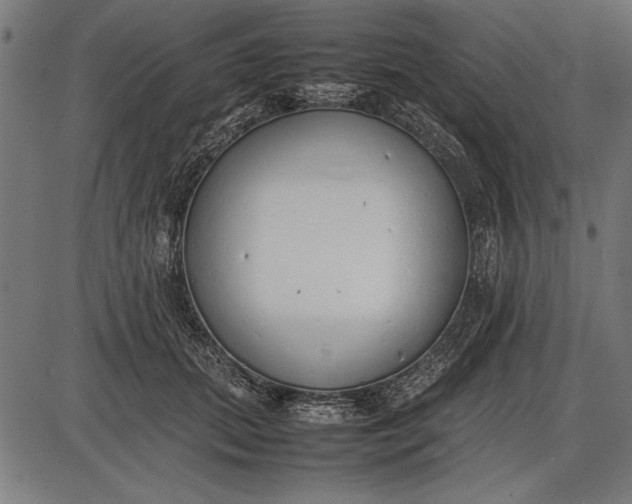 X0000086080655200704091302